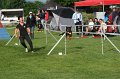 IMG_0005