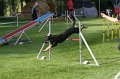 IMG_0007
