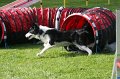IMG_0013