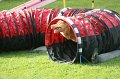 IMG_0016