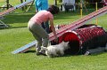 IMG_0021