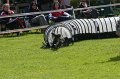 IMG_0031