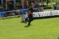 IMG_0050