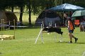 IMG_0052