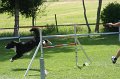IMG_0053