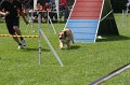 IMG_0057