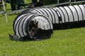 IMG_0065