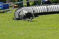 IMG_0077