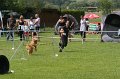 IMG_0082