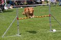 IMG_0085