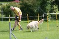 IMG_0088