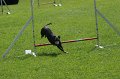 IMG_0098