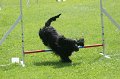 IMG_0100