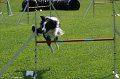 IMG_0103