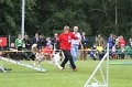 IMG_4819