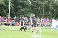 IMG_4870