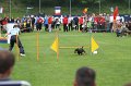 IMG_4986