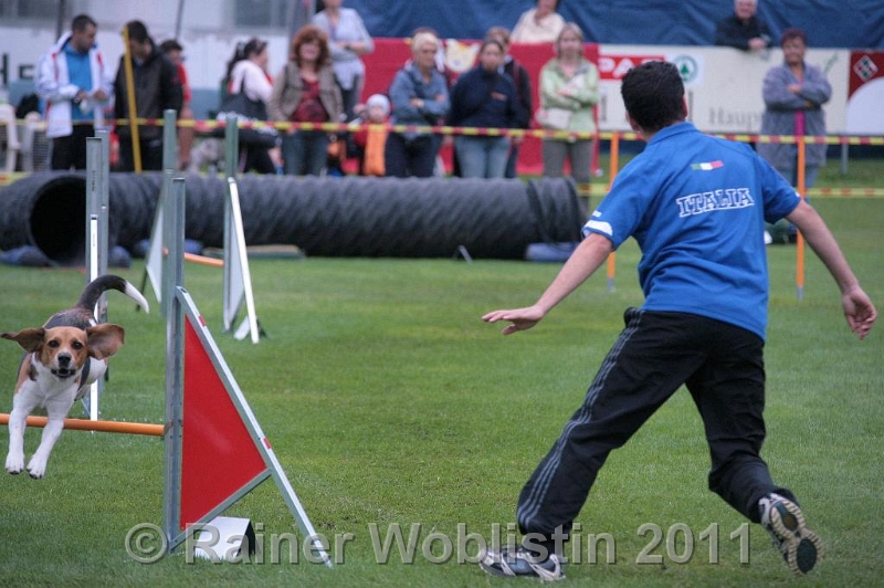 IMG_2975.JPG