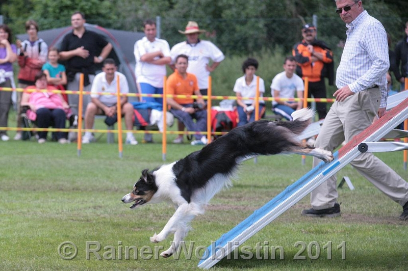 IMG_3321.JPG