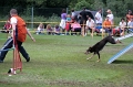 IMG_3317