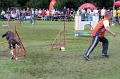 IMG_3320