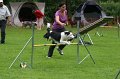 IMG_0608
