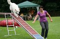 IMG_0611