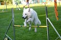 IMG_0692