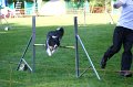 IMG_0698