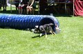 IMG_0730