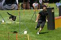 IMG_0732