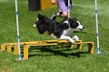 IMG_0736