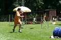 IMG_0737