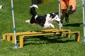 IMG_0739