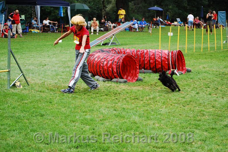 DSC_0268.JPG