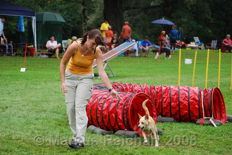 DSC_0272.JPG