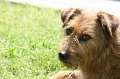 IMG_5687