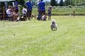 IMG_5739