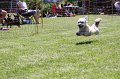 IMG_5741