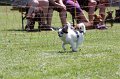 IMG_5746