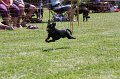 IMG_5775