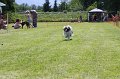 IMG_5785