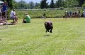 IMG_5819