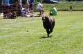 IMG_5820