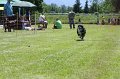 IMG_5829