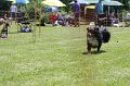 IMG_5831