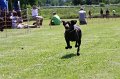 IMG_5835