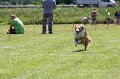IMG_5842