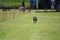 IMG_5860