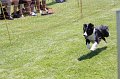 IMG_5866